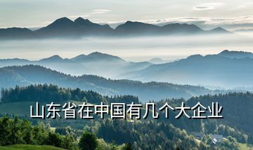 山東省在中國有幾個(gè)大企業(yè)
