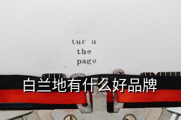 白蘭地有什么好品牌