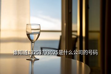 誰知道13253793025是什么公司的號碼