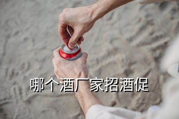 哪個(gè)酒廠(chǎng)家招酒促