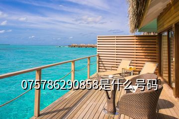 075786290858是什么號碼