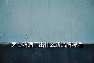 茅臺(tái)啤酒廠出什么新品牌啤酒