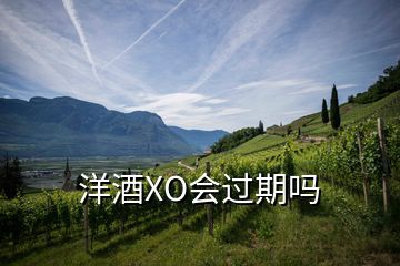 洋酒XO會(huì)過(guò)期嗎