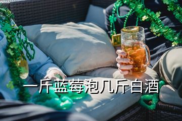 一斤藍(lán)莓泡幾斤白酒