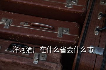 洋河酒廠在什么省會(huì)什么市