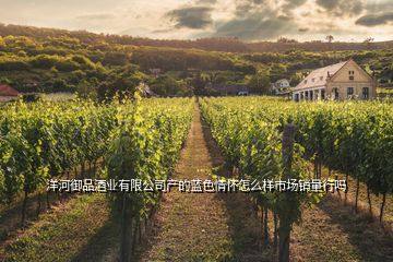 洋河御品酒業(yè)有限公司產(chǎn)的藍(lán)色情懷怎么樣市場(chǎng)銷量行嗎