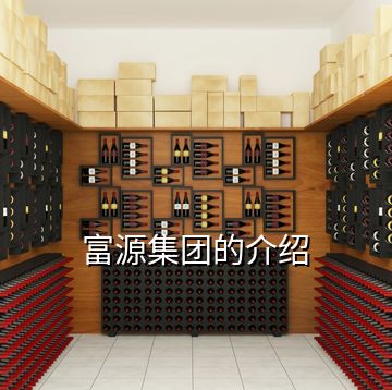 富源集團的介紹