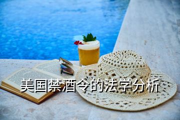 美國(guó)禁酒令的法學(xué)分析
