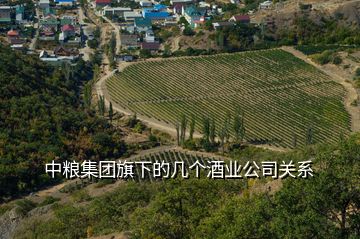 中糧集團旗下的幾個酒業(yè)公司關系