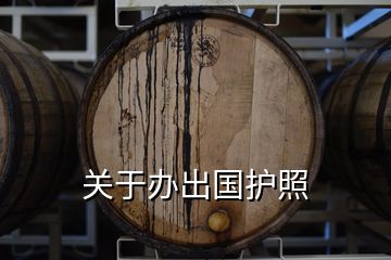關(guān)于辦出國護(hù)照
