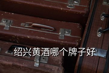 紹興黃酒哪個(gè)牌子好