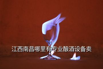 江西南昌哪里有專業(yè)釀酒設備賣