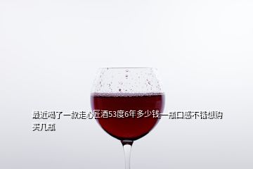 最近喝了一款走心匠酒53度6年多少錢一瓶口感不錯(cuò)想購(gòu)買幾瓶