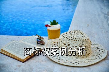 商標(biāo)權(quán)案例分析