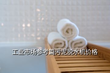 工業(yè)市場參考篇污泥脫水機價格