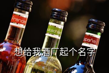 想給我酒廠起個(gè)名字