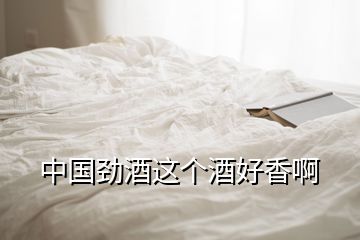 中國(guó)勁酒這個(gè)酒好香啊
