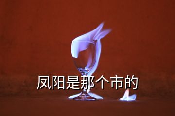 鳳陽是那個(gè)市的