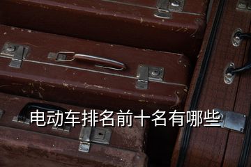 電動車排名前十名有哪些
