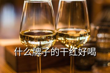什么牌子的干紅好喝