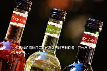一本機械釀酒項目第六代高效節(jié)能萬利設備一百公斤 五十公斤還有小