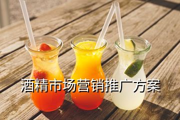 酒精市場(chǎng)營(yíng)銷推廣方案
