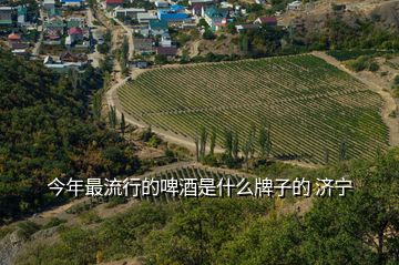 今年最流行的啤酒是什么牌子的 濟寧