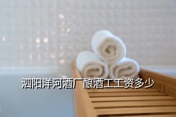 泗陽(yáng)洋河酒廠(chǎng)釀酒工工資多少