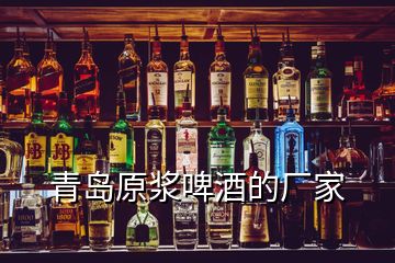 青島原漿啤酒的廠(chǎng)家