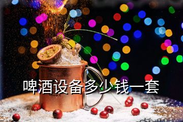 啤酒設備多少錢一套