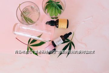 青島啤酒幾個(gè)最著名經(jīng)典的廣告案例視頻的要網(wǎng)址跪求