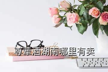 尊輩酒湖南哪里有賣(mài)