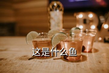 這是什么魚