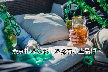 燕京扎啤多彩扎啤都有哪些品種