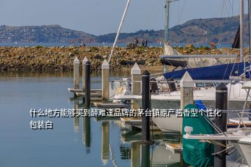 什么地方能夠買到醉難逢品牌的茅臺鎮(zhèn)原產(chǎn)醬香型個(gè)性化包裝白