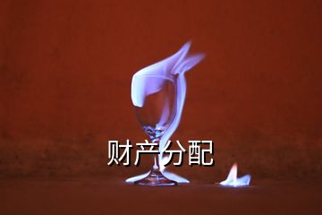 財(cái)產(chǎn)分配