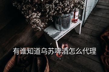 有誰知道烏蘇啤酒怎么代理