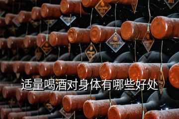 適量喝酒對(duì)身體有哪些好處