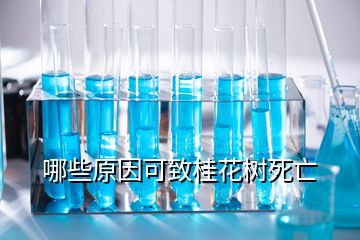 哪些原因可致桂花樹(shù)死亡