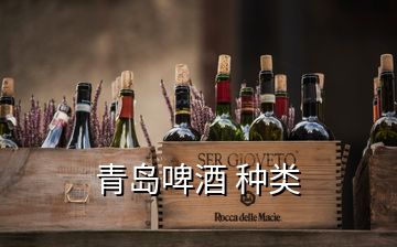 青島啤酒 種類(lèi)