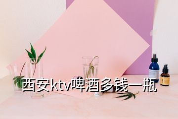 西安ktv啤酒多錢(qián)一瓶