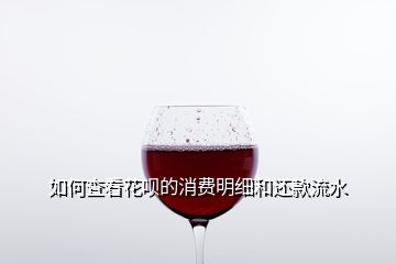 如何查看花唄的消費明細和還款流水