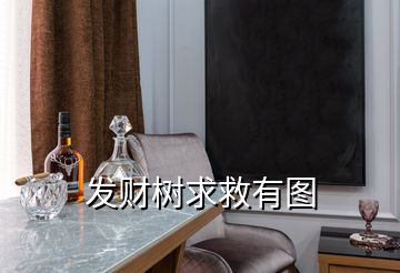 發(fā)財(cái)樹(shù)求救有圖