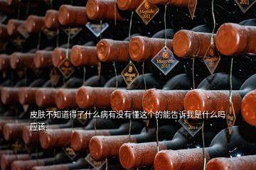 皮膚不知道得了什么病有沒(méi)有懂這個(gè)的能告訴我是什么嗎應(yīng)該