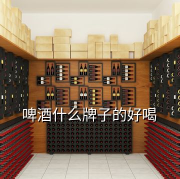 啤酒什么牌子的好喝