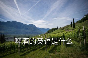 啤酒的英語(yǔ)是什么