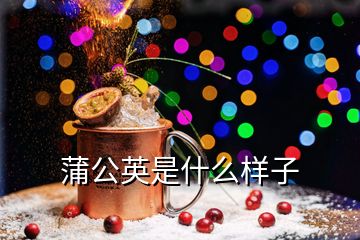 蒲公英是什么樣子