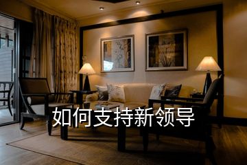 如何支持新領導