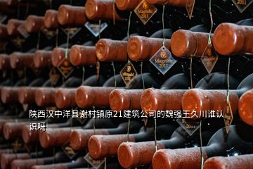 陜西漢中洋縣謝村鎮(zhèn)原21建筑公司的魏強王久川誰認(rèn)識呀