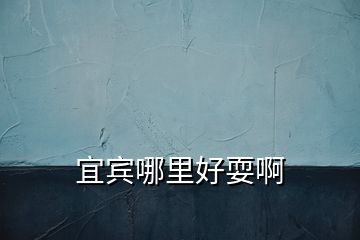 宜賓哪里好耍啊